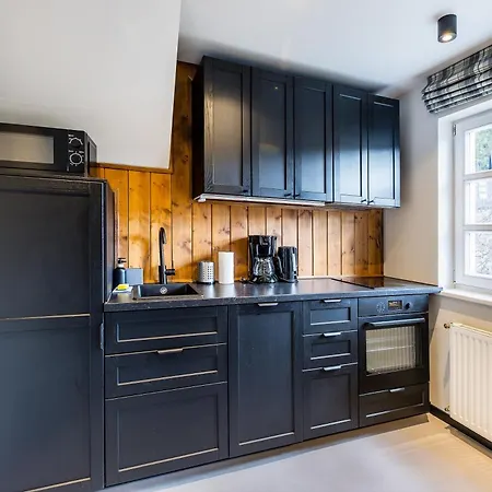 Διαμέρισμα Apartamenty- Tatrzanska 35 Blisko Termy Bukovina Bukowina Tatrzańska